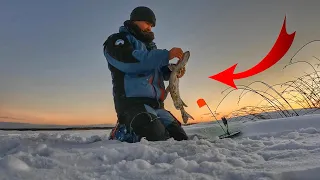 Зимняя рыбалка на щуку | Ловля щуки на флажки