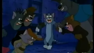 Tom y Jerry, La película - ¡Qué nos importa! (What do we care) Esp. Latino