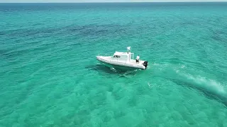 summer vibes hammamet la badira tunisia