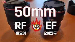 EF 50mm와 RF50mm 의 차이는 가격만큼 날까? 알오이 VS 오이만두의 화질 비교