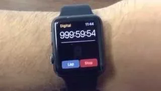 Apple Watch Timer Hits 1000 Hours
