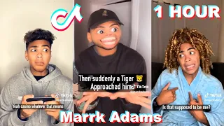 * 1 HOUR * Mark Adams TikTok 2023 | Funny Marrk Adams TikTok Compilation 2023 #2