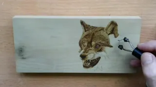 Wolf Pyrography Time Lapse