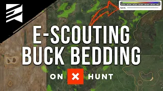 Buck Bedding 101: Identifying Buck Bedding with E-Scouting