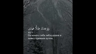 #shorts Чтение Корана. Чтец: Мухаммад аль-Люхайдан, Сура: Ад-Духа | Утро (93).