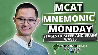 MCAT Mnemonic: Stages of Sleep and Brain Waves (Ep. 18)