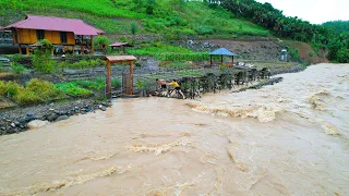 Historic floods, Sang Vy rebuilt after floods, harvested, raised chickens and ducks - farm life