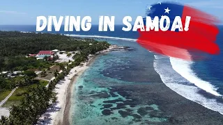 Spearfishing Samoa - Put it on your Bucket List!