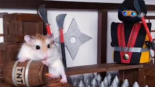 HAMSTER in NINJA TEMPLE - MAJOR HAMSTER vs SAMURAI CAT (2/3)