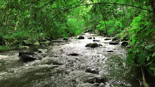 Relaxing nature sounds - calming mountain stream sounds for deep sleep, stress relief, meditation