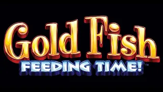 Live play On Goldfish Feeding Time Slot Machine
