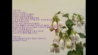 Amira Willighagen - With All My Heart & 글 : 마른잎(전세종)의 「마른잎 굴러 굴러...」중「편지 1 ( 25 )」