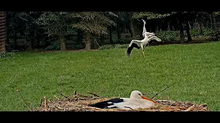 Jonášek ve víru tance s Johankou. 🌞