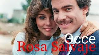 Эссе на телесериал Дикая Роза (Rosa Salvaje)