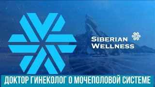 Здоровье мочеполовой системы  Гинекология