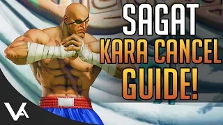 SFV - Sagat Kara Cancel Guide! Combos & Examples For Street Fighter 5 Arcade Edition