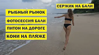 Сержик на Бали рыбный рынок fish market Jimbaran, подводные сьемки, фотосессия twinslol и питон dead