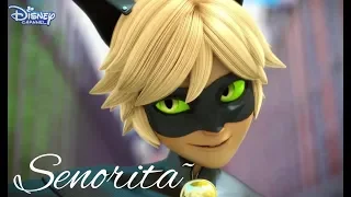 Senorita~ Miraculous amv ❤