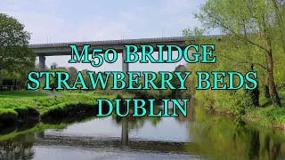 M50 BRIDGE STRAWBERRY BEDS DUBLIN