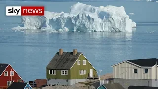 Why has Trump offered to buy Greenland?