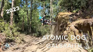 Atomic Dog - Galbraith Mountain - Bellingham, Washington (2023)