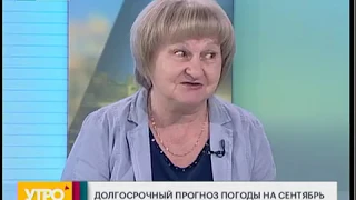 Погода в сентябре. Утро с Губернией. 02/09/2019. GuberniaTV