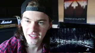 when nothing remains - lake of frozen tears reaction