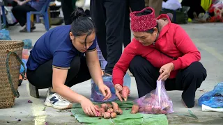 Jungle Vegetable Harvesting goes to the market sell, Gardening, Feed The Fish | Lý Thị Ca