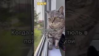 Когда накосячил 🙀🙀🙀