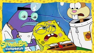 SpongeBob |  SpongeBob gegen den Türsteher!  | SpongeBob Schwammkopf