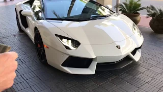 Can a Suitcase & Backpack Fit in a Lamborghini Aventador?