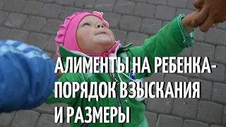 Алименты на ребёнка   порядок взыскания и размеры