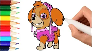 PAW Patrol Draw Skye and Coloring (Щенячий патруль: Рисуем и раскрашиваем Скай)