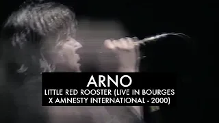 Arno - Little Red Rooster (Live Bourges / Amnesty International 2000)