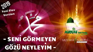 Mustafa Sürmeli SENİ GÖRMEYEN GÖZÜ NEYLEYİM