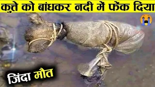 सच में भगवान इंसानों में इंसानियत आज भी जिंदा है | most inspiring animal rescue ( part -2 )