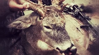 Giant Ohio Whitetail Taken Out with Archery Shot