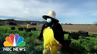 California Farmworkers Struggle To Get Covid Vaccine | NBC News NOW