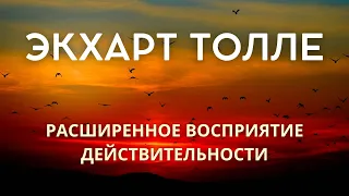 Расширенное восприятие действительности - ЭКХАРТ ТОЛЛЕ [Nikosho]