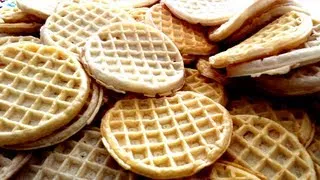 100 Eggo Waffle Challenge