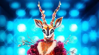 Gazelle performs “Uninvited” by Alanis Morissette Masked singer S10 Episode One