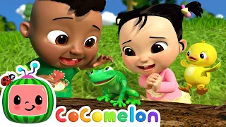 Cody and Cece's Nature Walk | CoComelon - It's Cody Time | CoComelon Songs for Kids & Nursery Rhymes