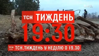 Хто прикриває нелегальні звалища мертвих тварин у Тернополі – дивіться у ТСН.Тиждень