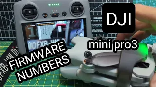 DJI MINI 3/4 -Serial Numbers & Firmware Update