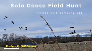 Self-Filmed Solo Pa Goose Hunt Nov 18th, 2023 Limited Out!