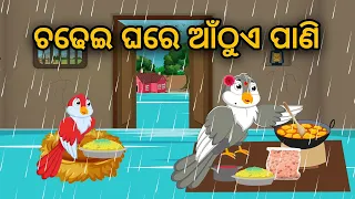 Chadhei Ghare Anthua Paani | Tiki Chadhei Gapa | Odia Gapa |Bird Story | Moral Story | Cartoon Story