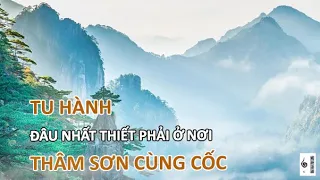 Tu hành đâu nhất thiết phải là nơi thâm sơn cùng cốc - Vạn vật giác ngộ