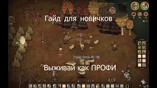 Короткий гайд для новичков в Don't Starve Together. Основы выживания.