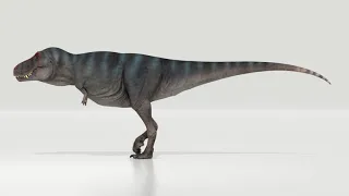 Tyrannosaurus rex Trix walking animation