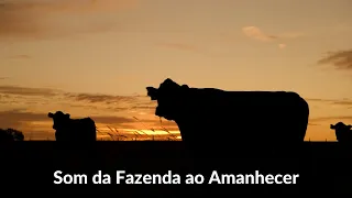 Som do AMANHECER na fazenda